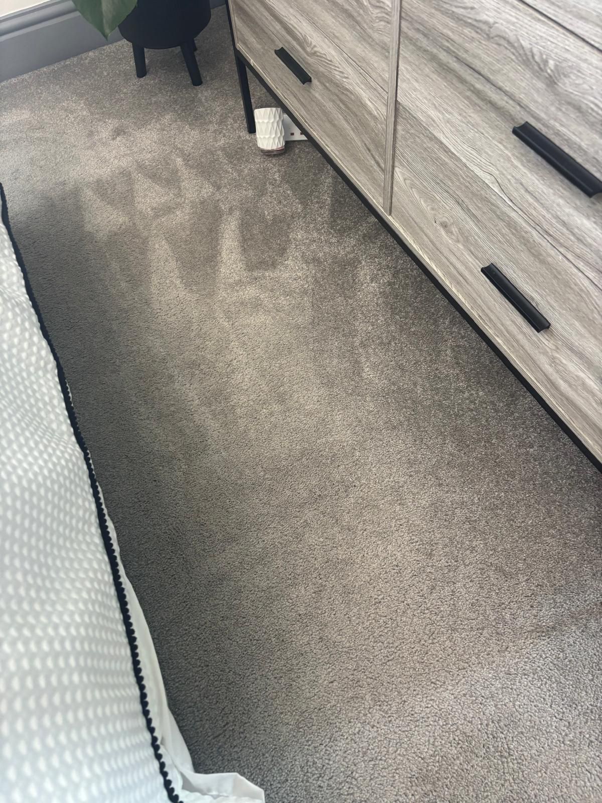 Premium Carpet Care result 4