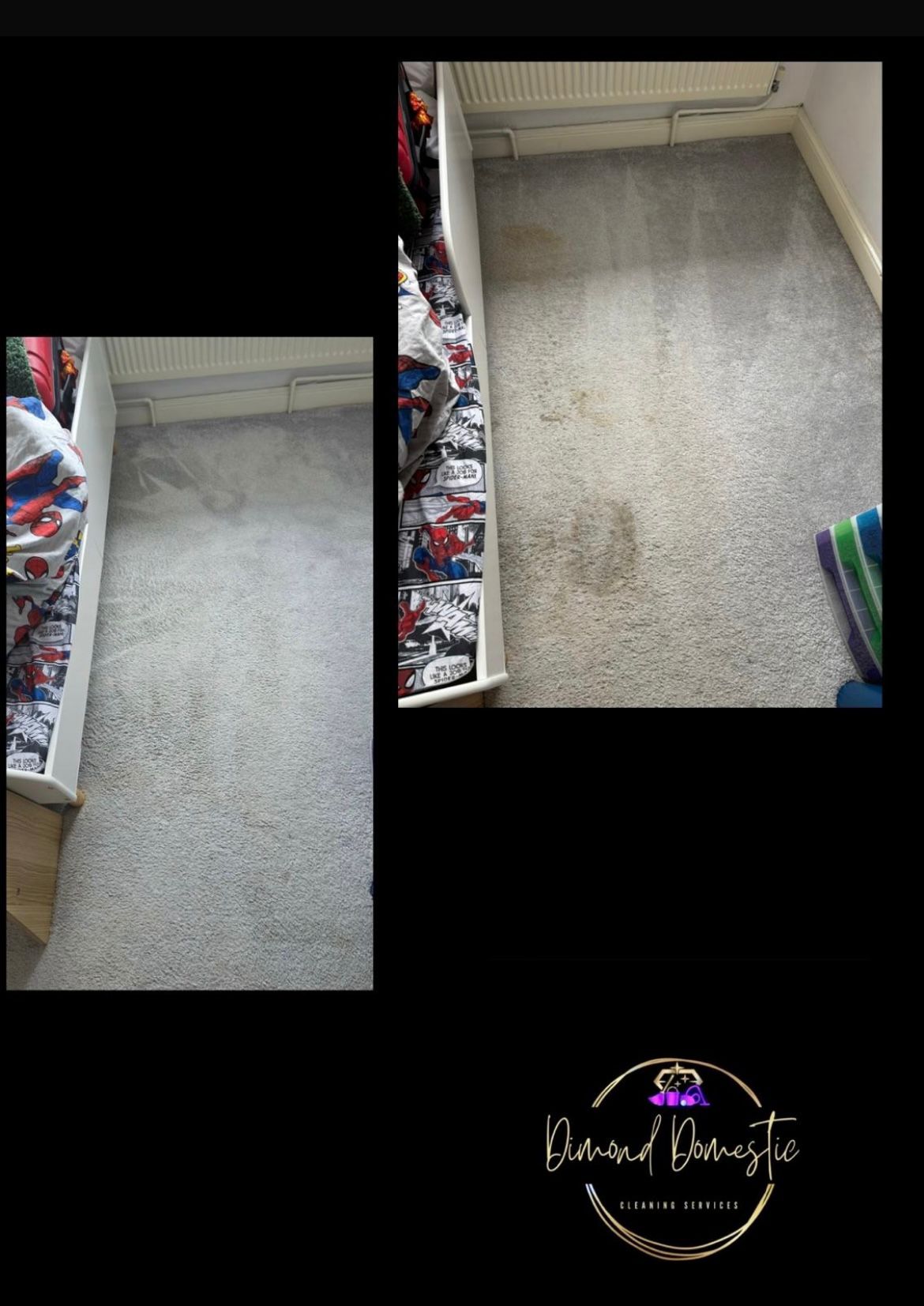 Premium Carpet Care result 3
