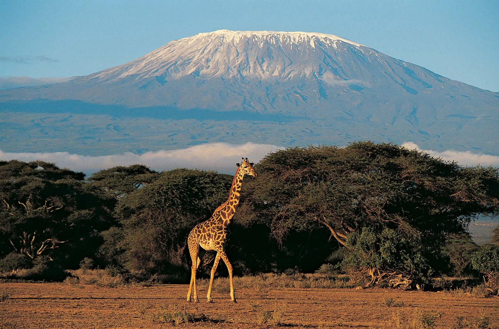 Tanzanija