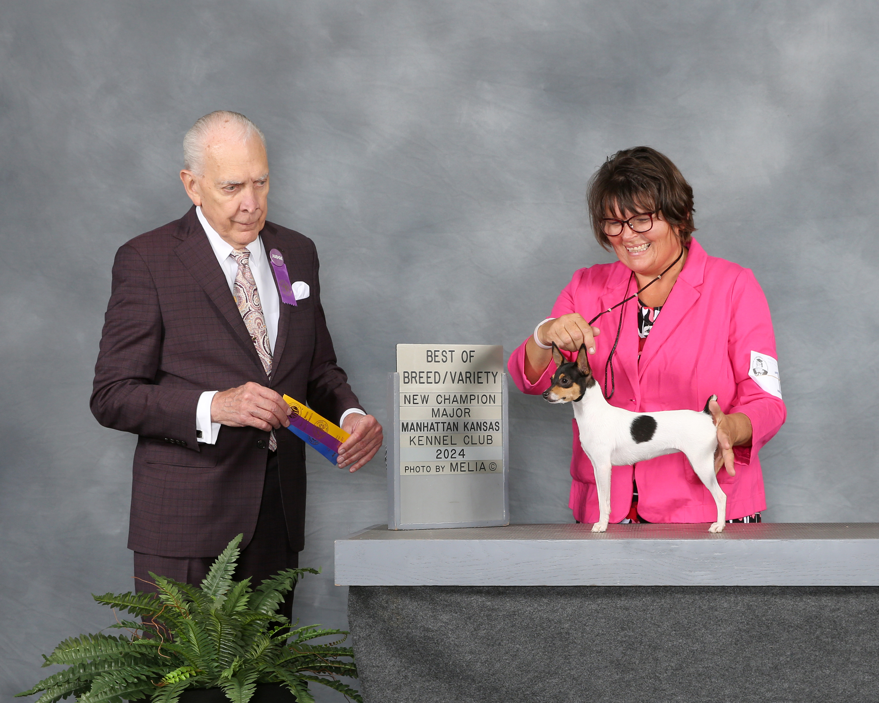 Best of Breed New Champion Major Manhattan Kansas Kennel Club