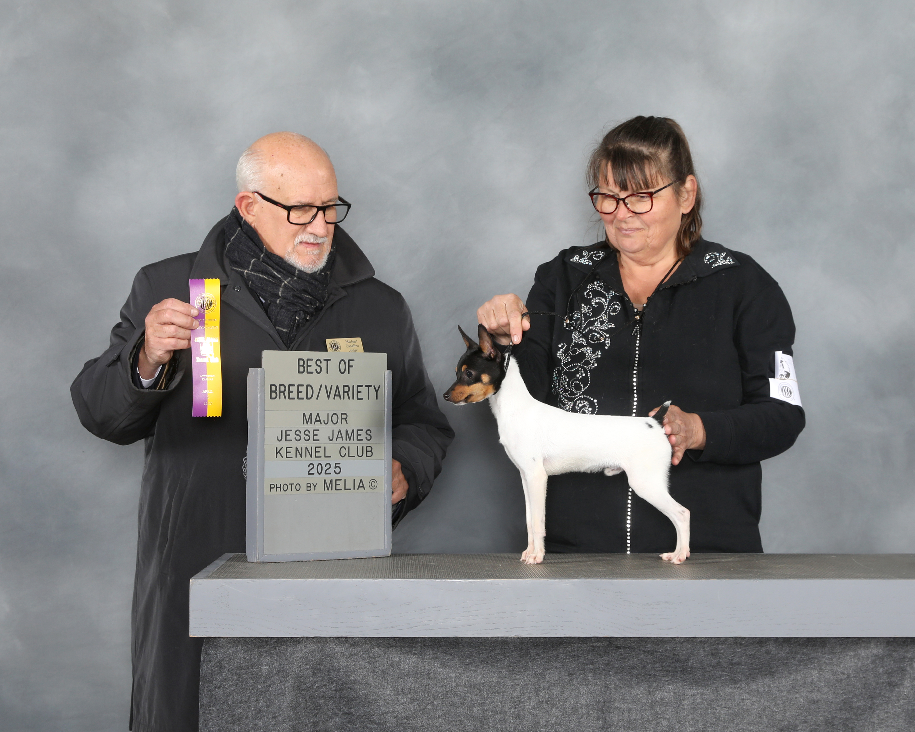 Best of Breed Major Jesse James Kennel Club Winner