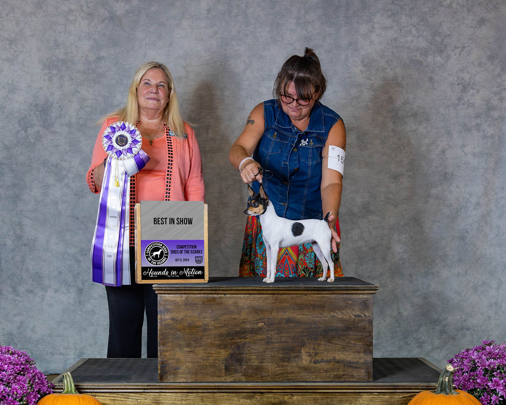 Best in Show Competition Dogs of the Ozarks Winner