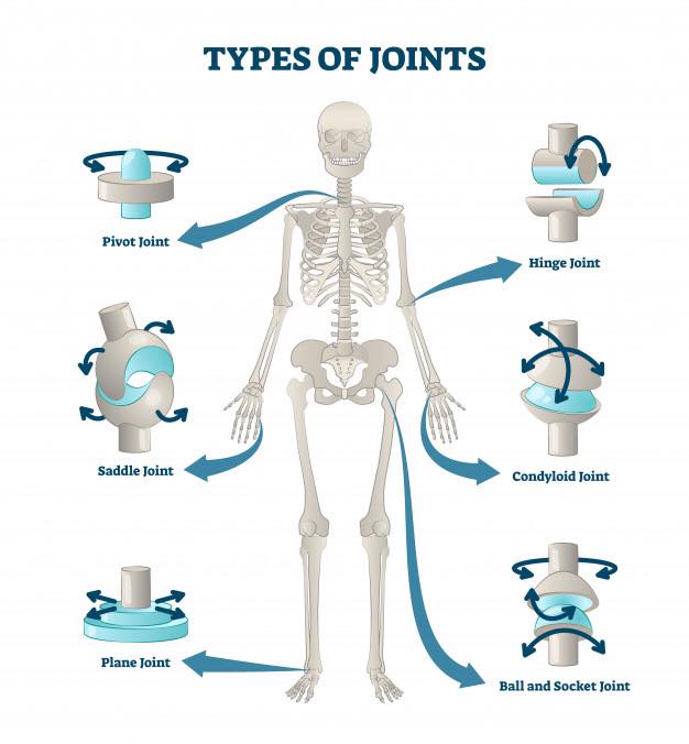 Muscle strain VS muscle tear