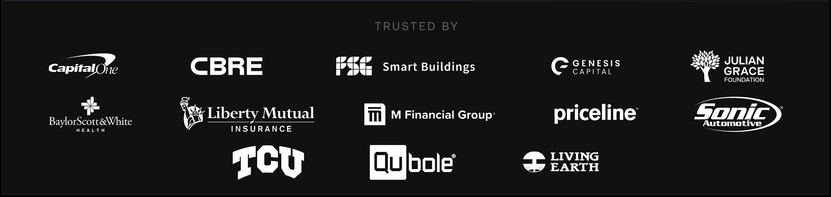 Trusted by companies