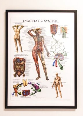 Medical Equipment and Stethoscope