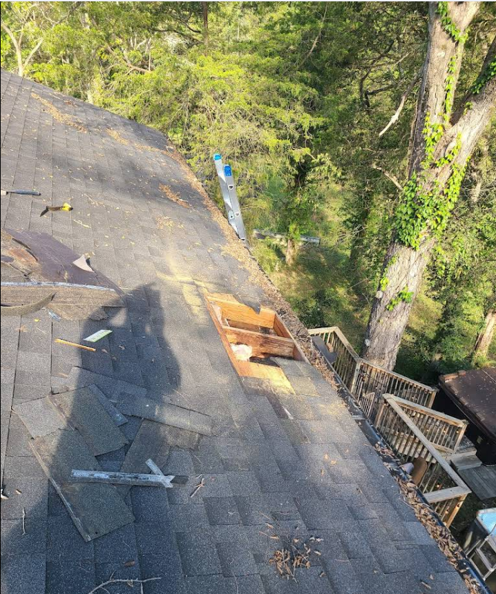 Bellevue Emergency Tree Fall Roof Repair by Worth Roofing Company