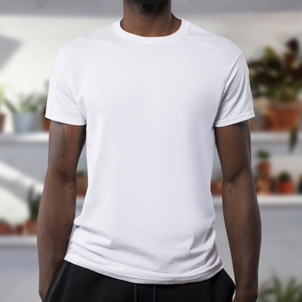 Blank Tees