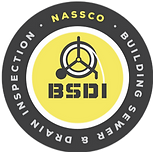 BDSI