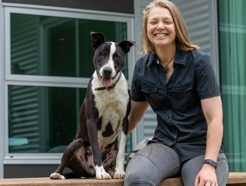 Dog Training