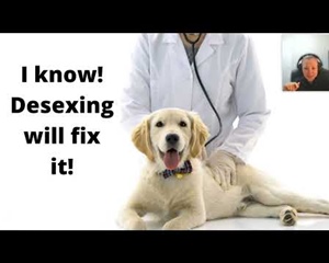 Dog Behaviour Myths