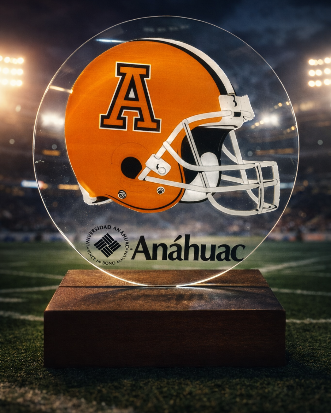 Trofeos deportivos personalizados para torneos en CDMX — imagen 1