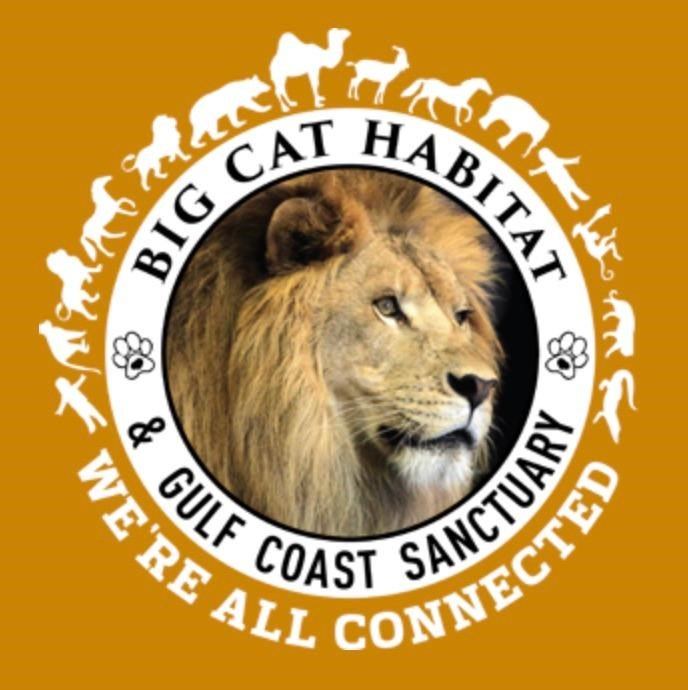 Big Cat Habitat