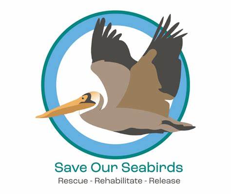 Save our Seabirds