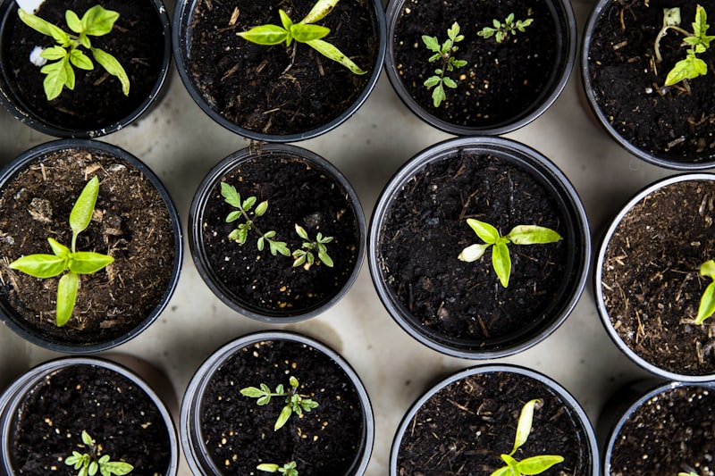 Spring Marketing Checklist for SE Michigan Businesses