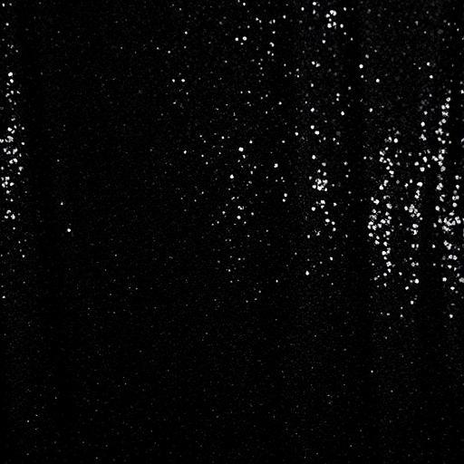 Black Sequin