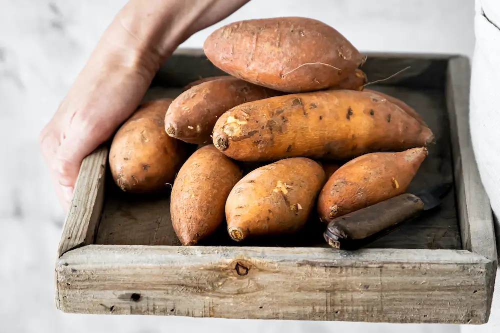 Nutrition Tips for Patients Balancing Fertility and Weight Goals