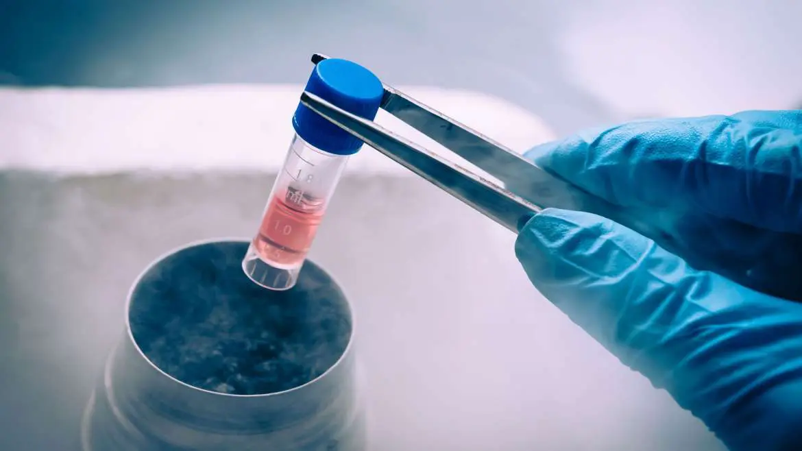 Fertility Preservation: What You Need to Know About Egg Freezing