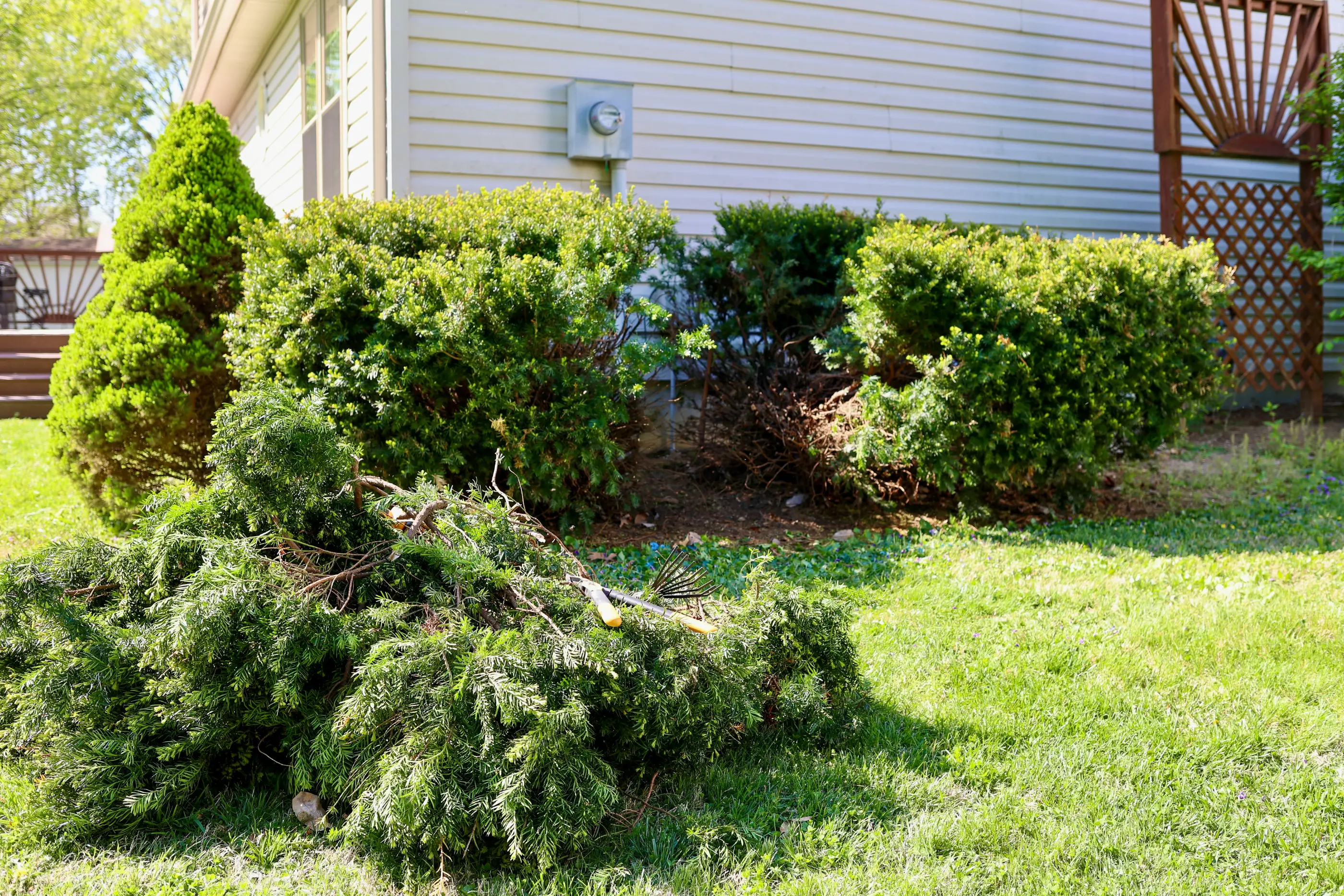 Brush Removal, Shrub Trimming, and Rock Refresh in Bloomington, MN