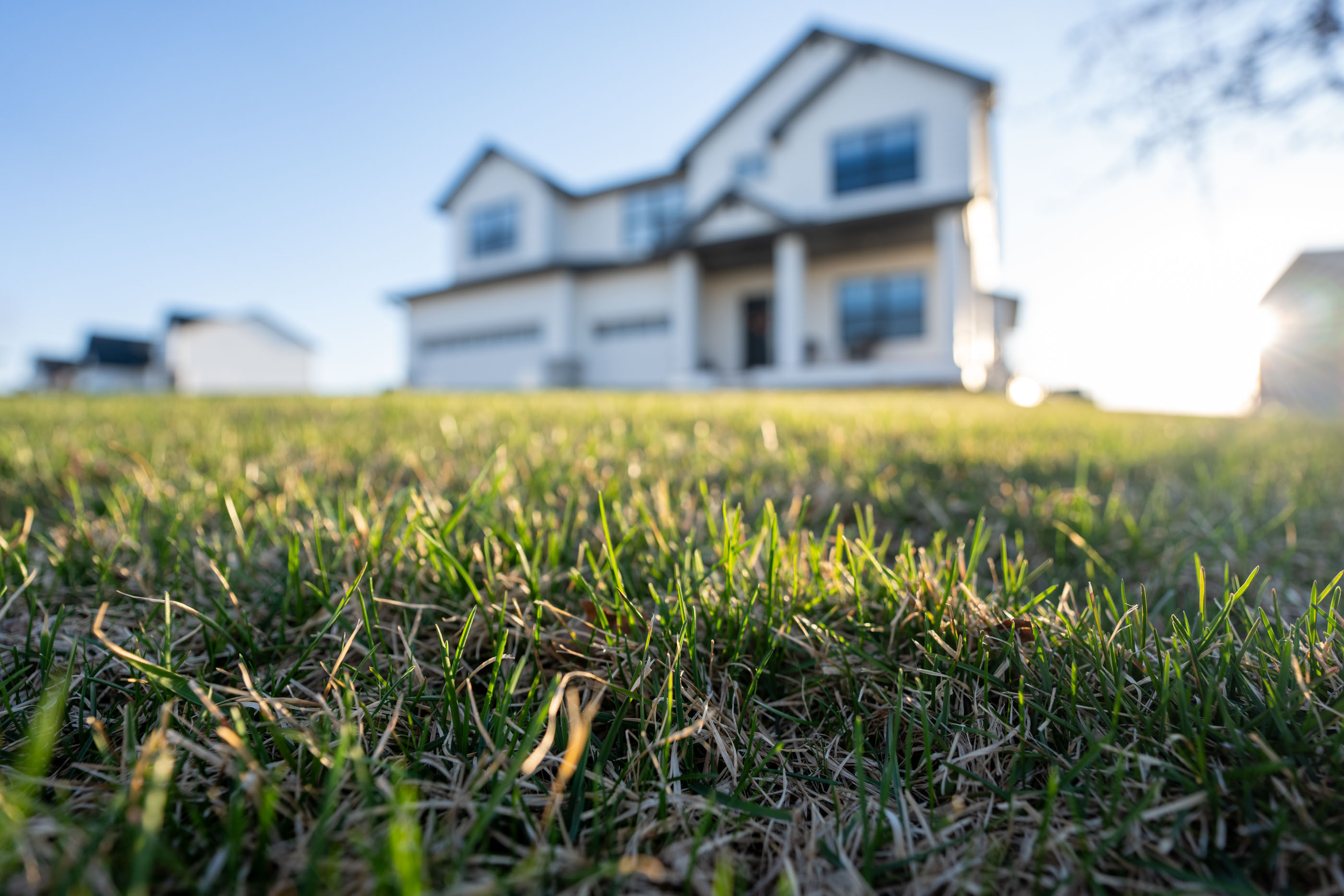 Beautifully maintained lawn in front of a house