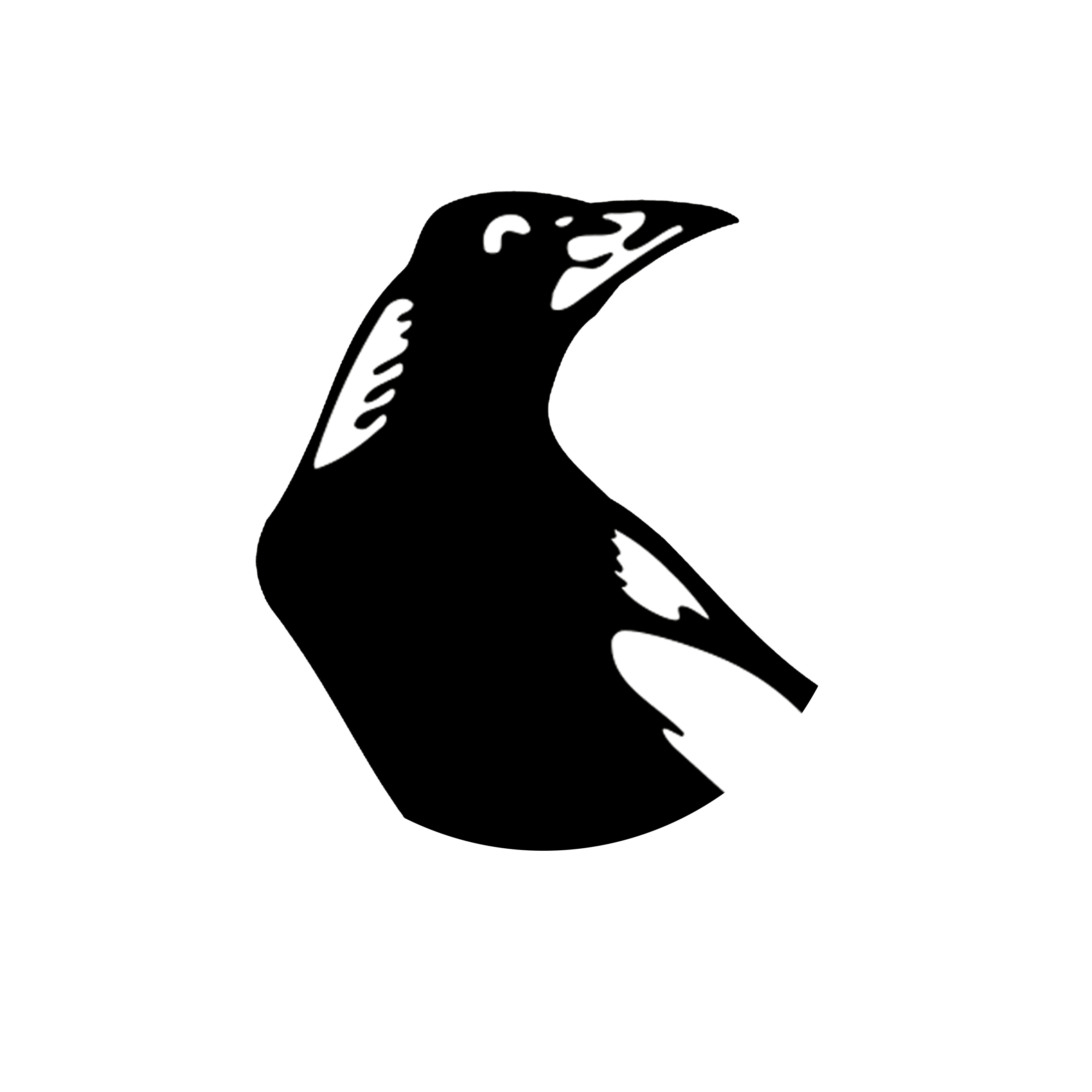 DVSRFC Logo