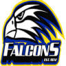 Lilydale Falcons 55s