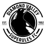 Diamond Valley 45s