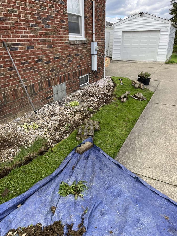 Weed Control Solutions by Wilt Landscaping in Greenville PA