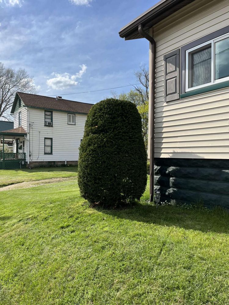 Bush & Hedge Trimming by Wilt Landscaping in Greenville PA