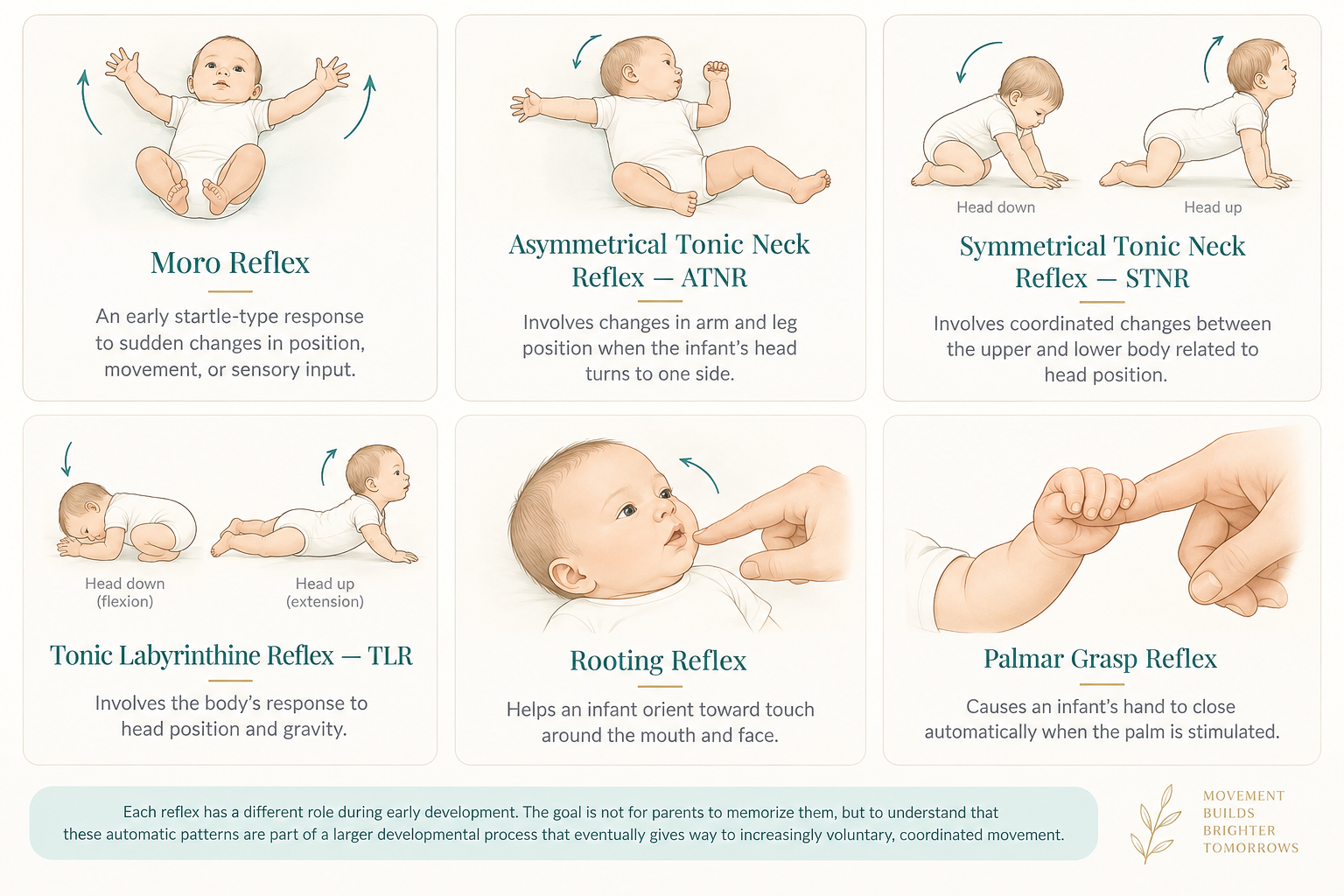 Educational illustration showing Moro, ATNR, STNR, TLR, Rooting, and Palmar Grasp primitive reflex movement patterns.