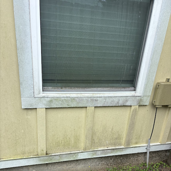 Before soft wash window