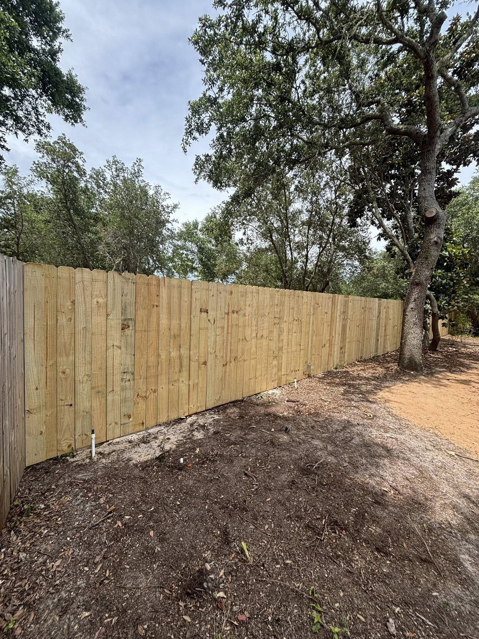 After Fence Repair