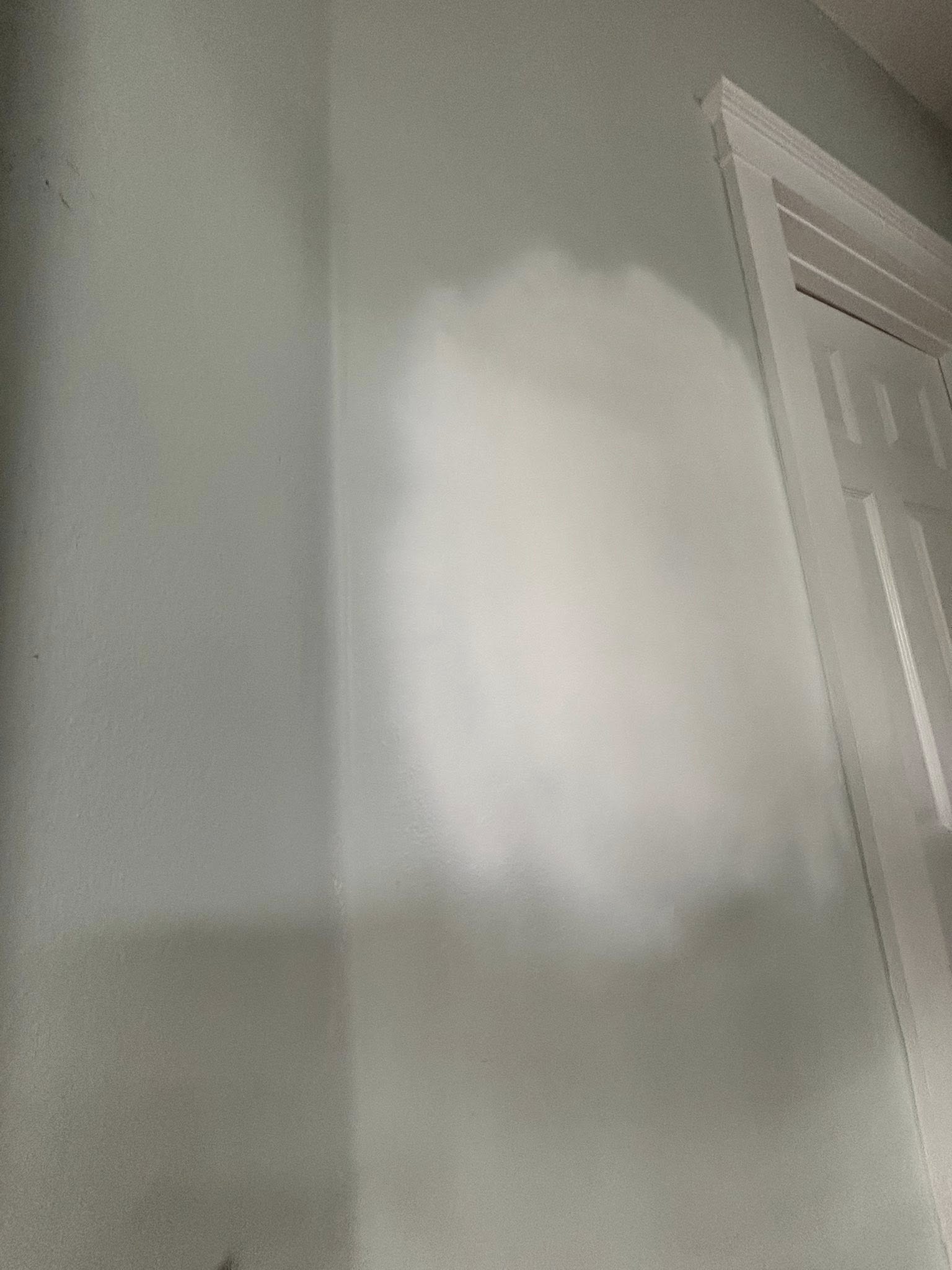 Professional painting and drywall repair in Walton County