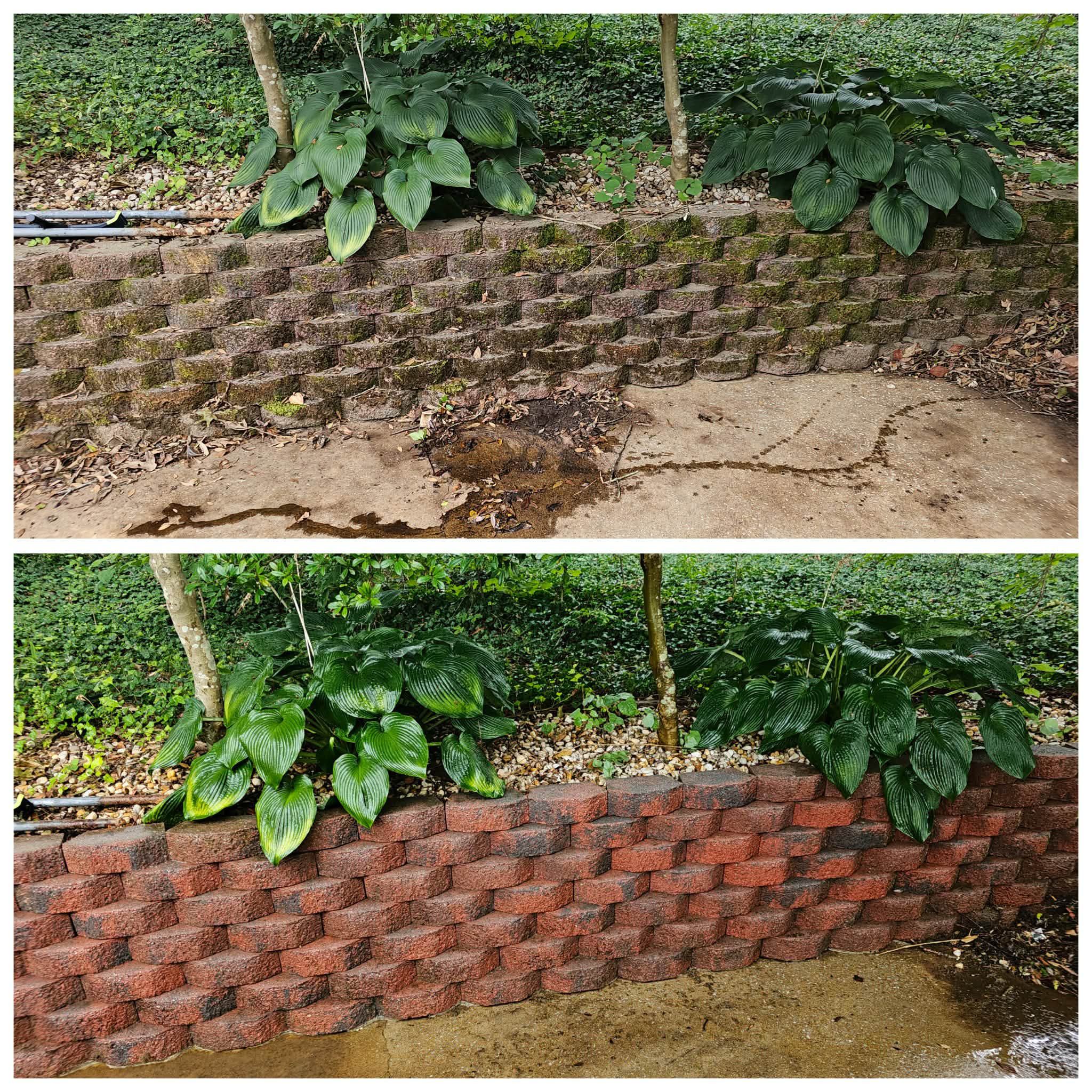 Retaining Wall Restoration