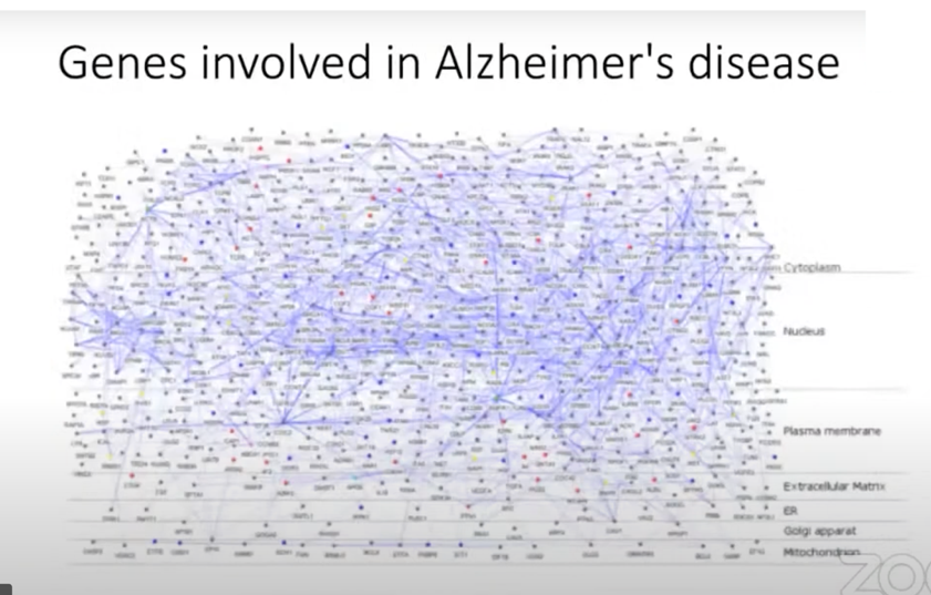 Genes in Alzheimer's disease