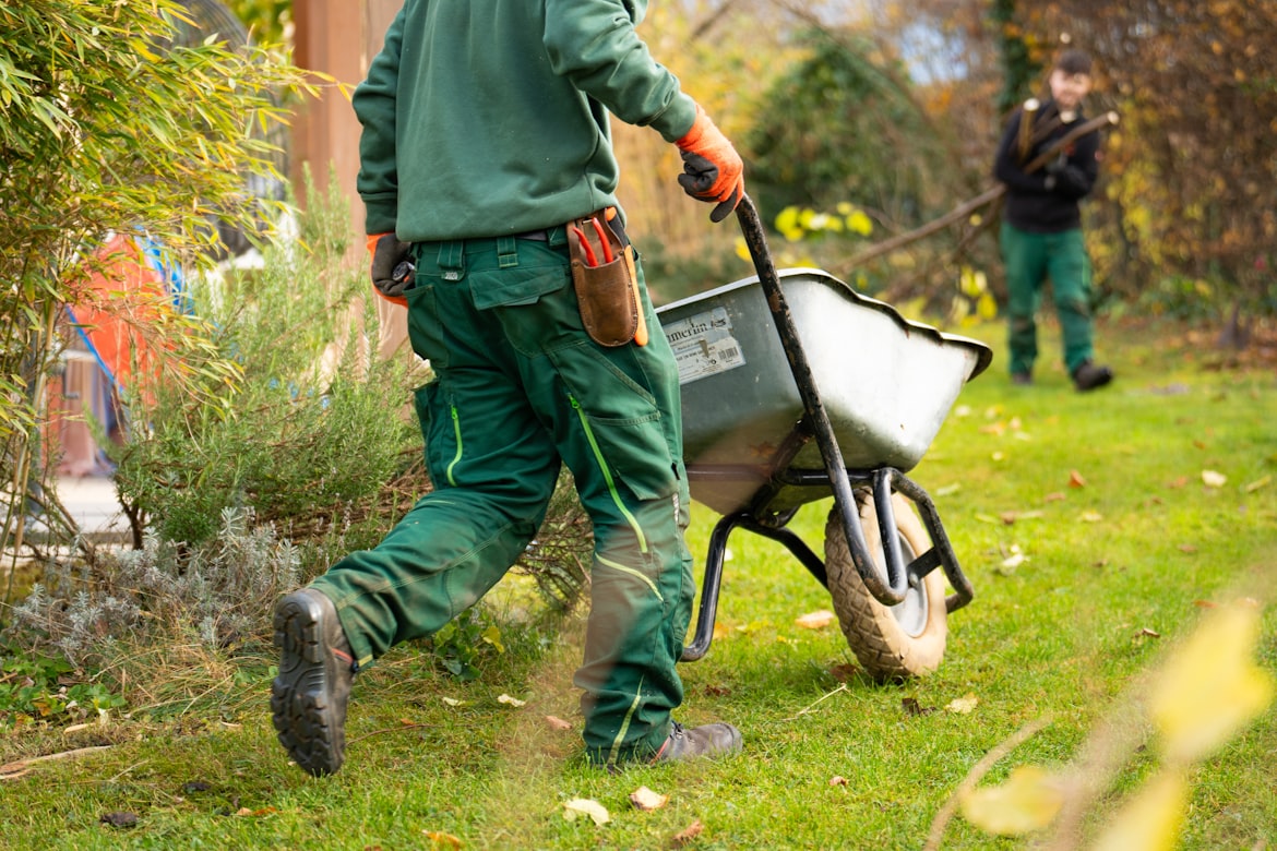 Landscaping professional