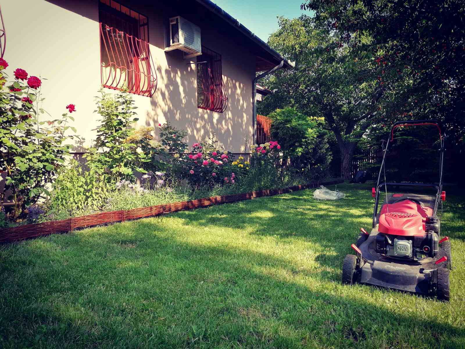 Növényültetés és növényápolás