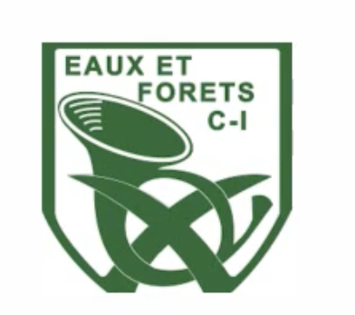 Logo Eaux et Forêts CI