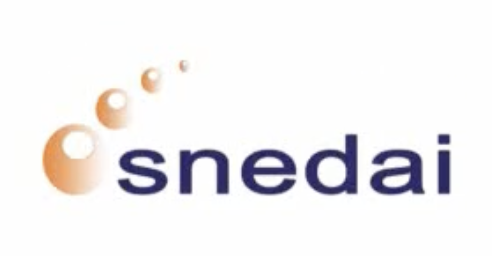 Logo Snedai