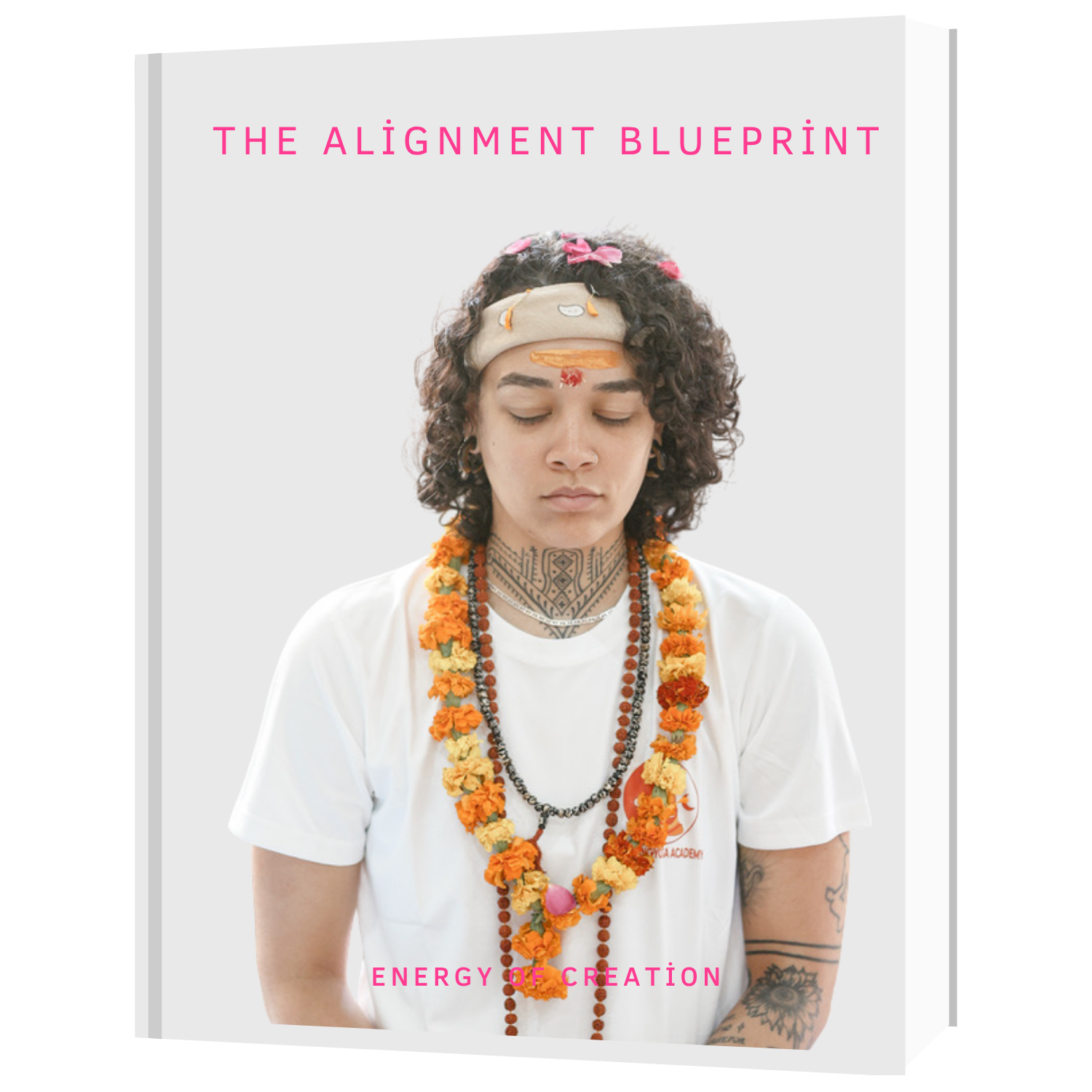 The Alignment Blueprint — A Free 3-Step Guide cover