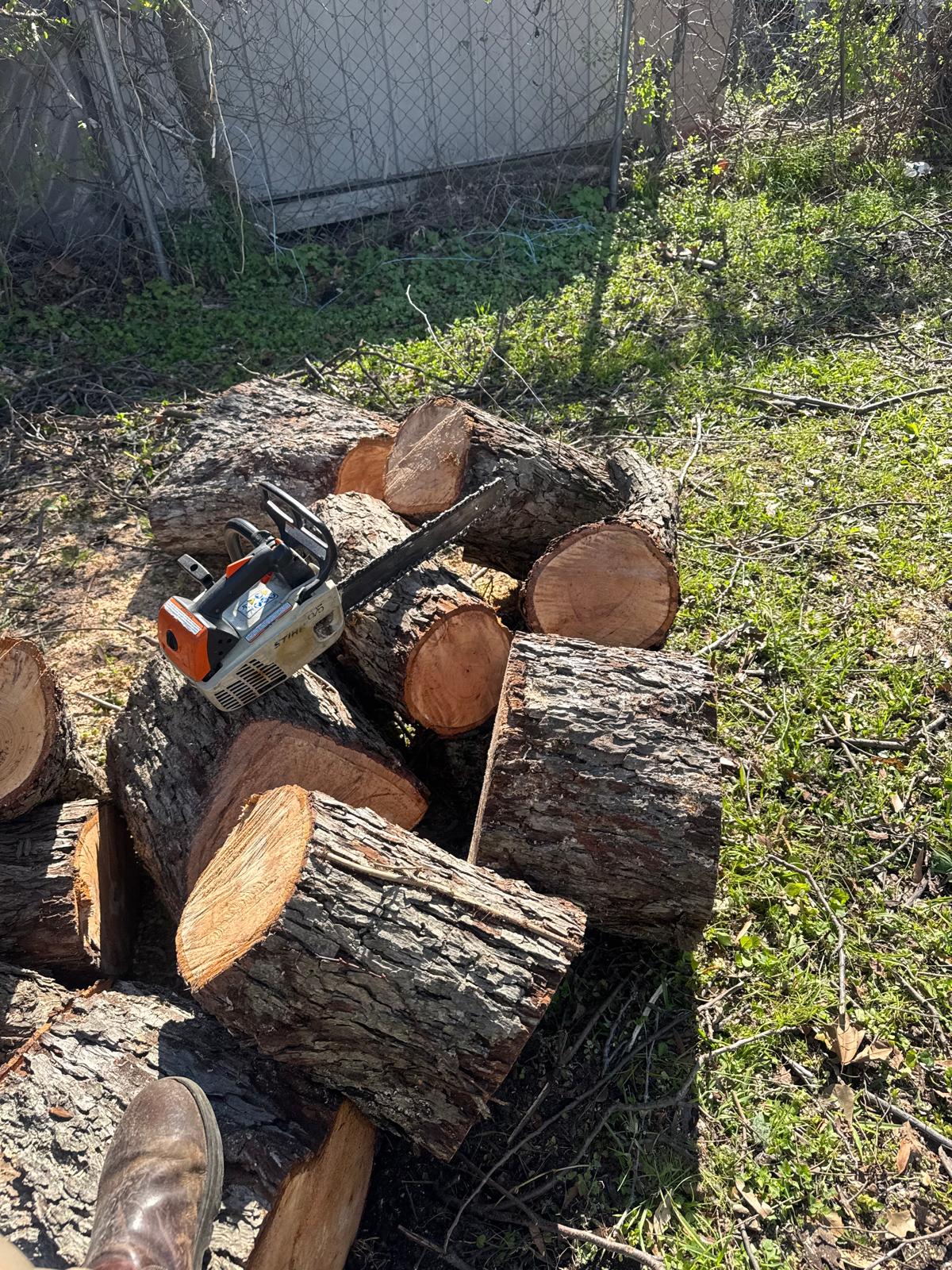 Tree Logs Removal Perfect Look Tree Service — Professional Tree Care in Houston, TX