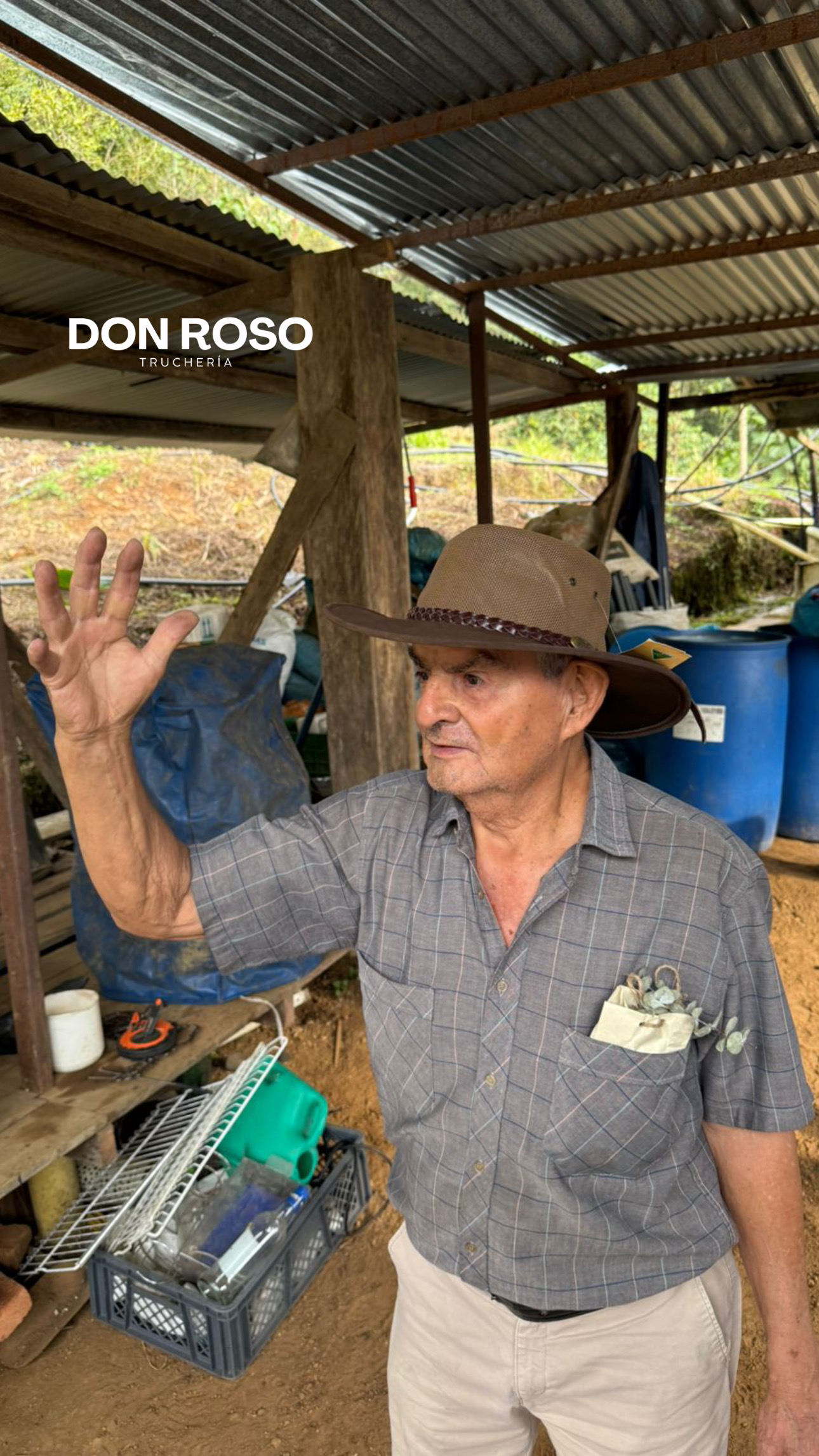 Don Roso