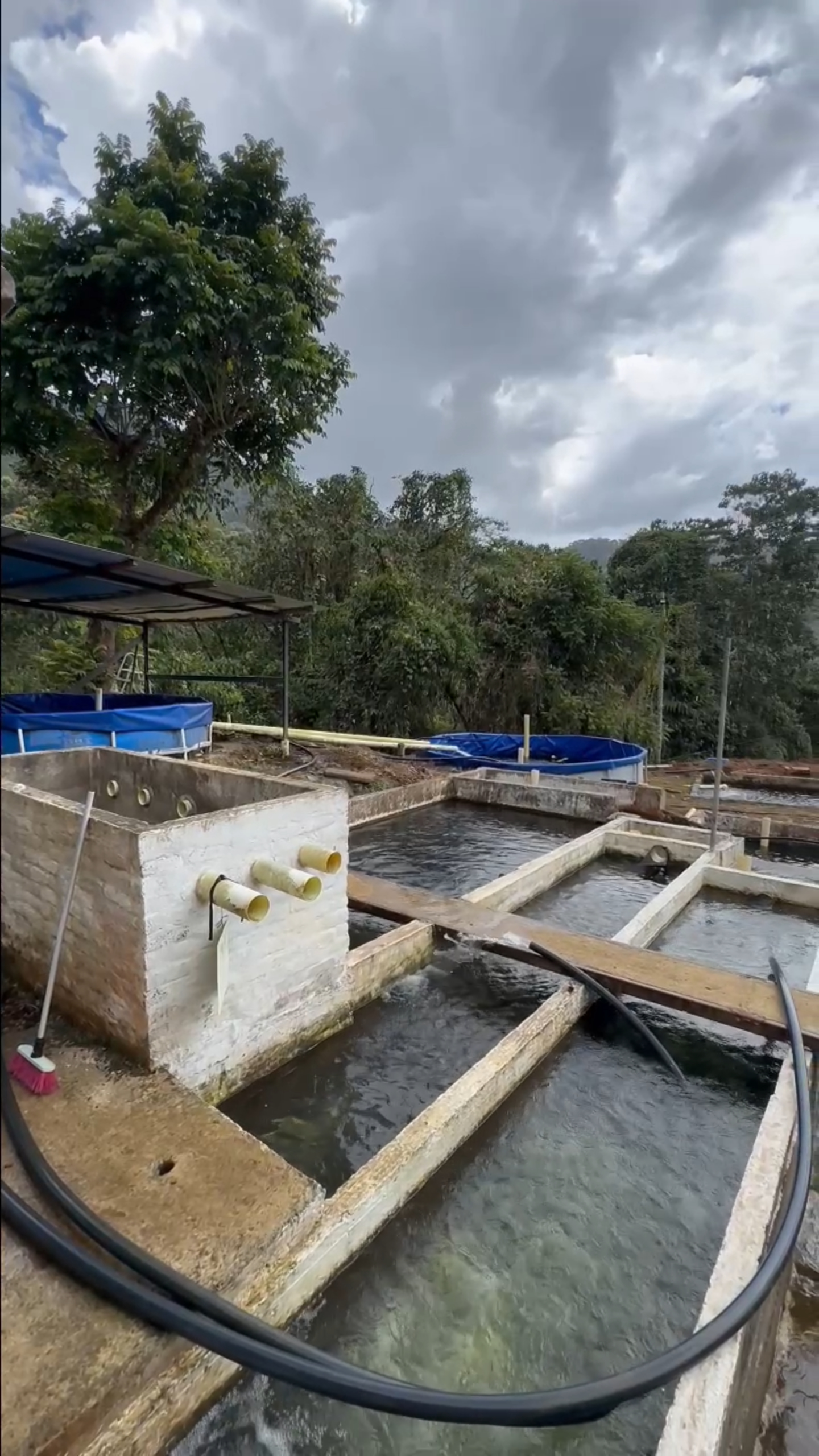 Finca