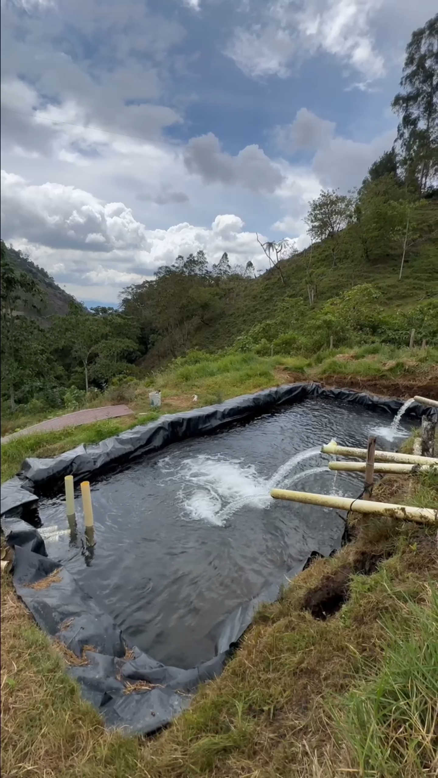 Agua de manantial