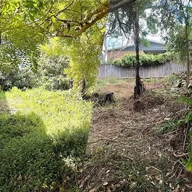 Garden Cleanups & Maintenance