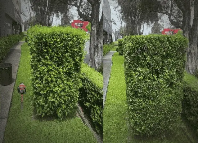 Portfolio 1