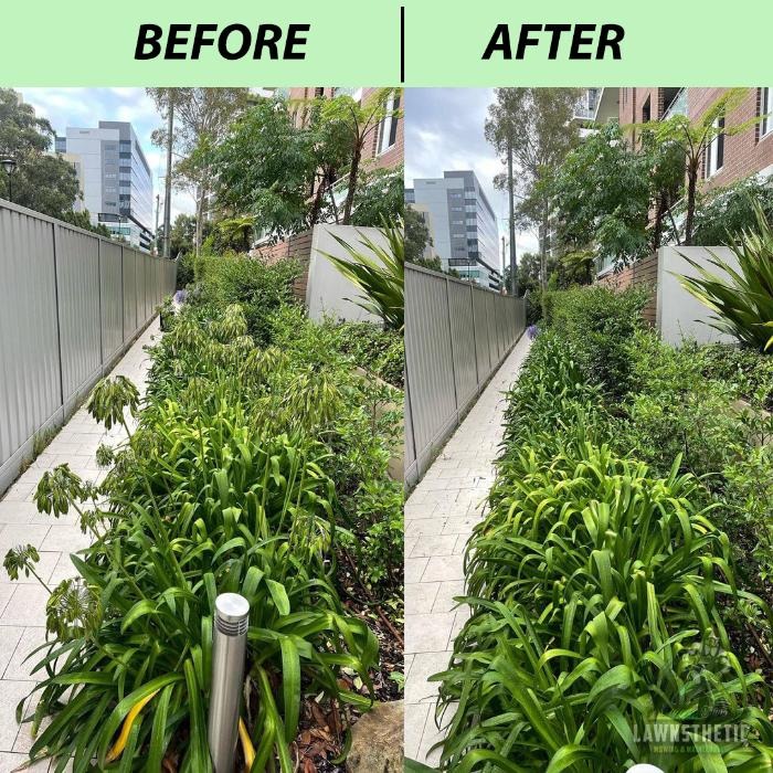 Before and after landscaping