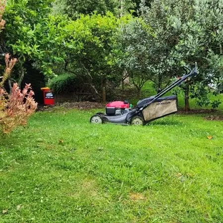 Lawn Care & Maintenance