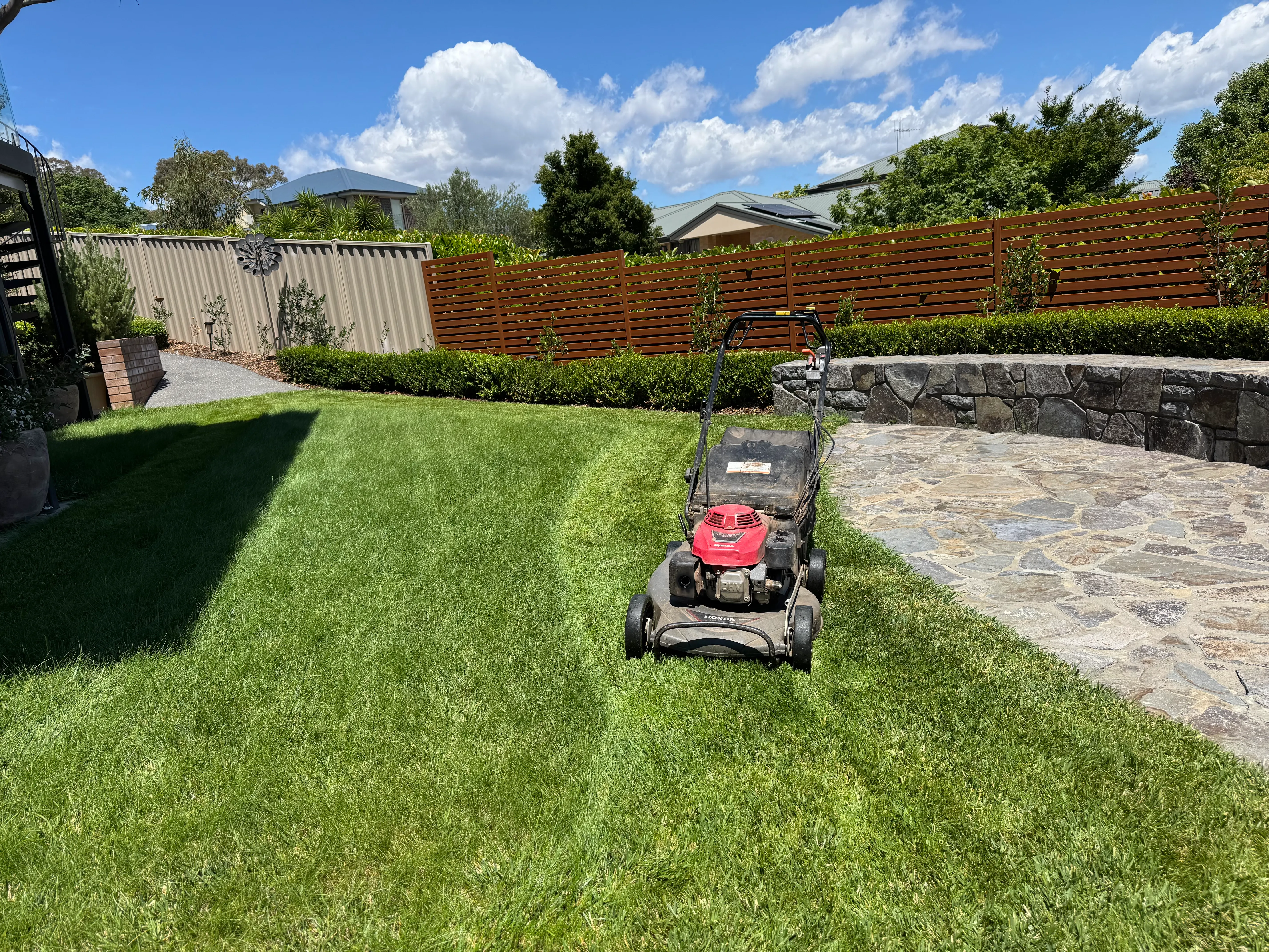Pruning and Trimming