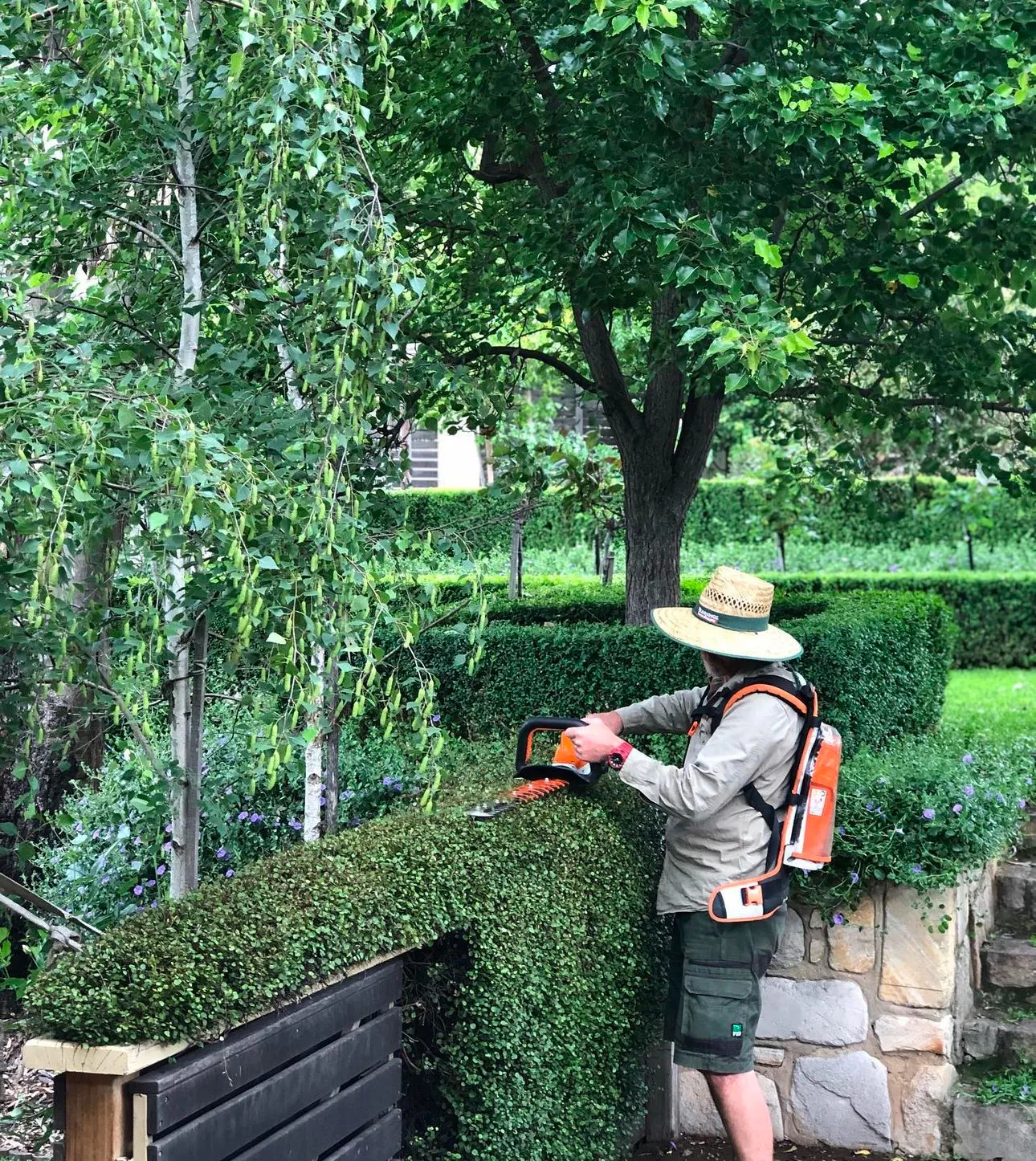 Garden Tidy-Ups