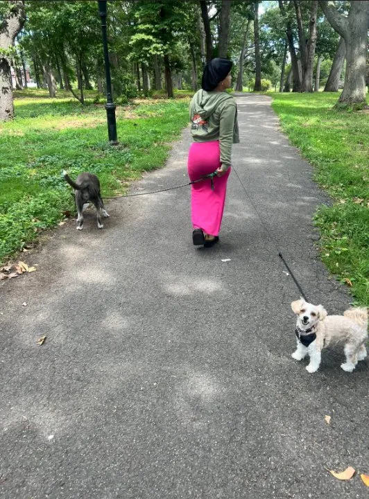 Dog Walking